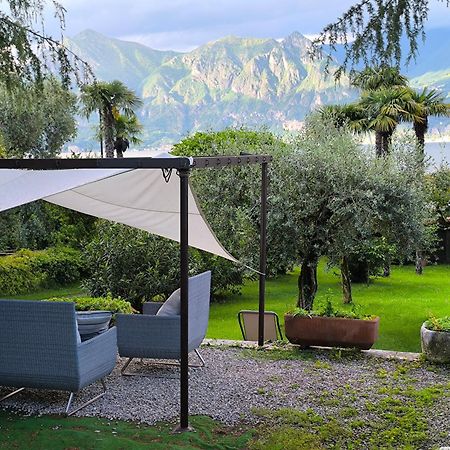 Villa Riva Lago - Apartment With Parking Tavernola Bergamasca Luaran gambar